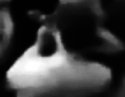 MM inside Conti_2.jpg