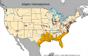 GetStaticMap.png