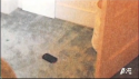 zahau phone1.png