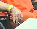 Finger.png