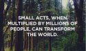 small acts.jpg