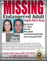 missing-womanjpg-537bb8a690c12b90.jpg missing-womanjpg-537bb8a690c12b90.jpg