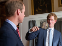 Harry and Wills.png