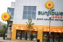 sunflower_1.jpg