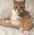 Hemi1 May 2018.jpg