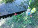 IMG_20180525_165917.jpg