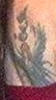 cerenil-lee_autumn_tattoo2.jpg