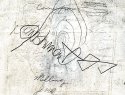 EAR Punishment - Enhanced View.jpg