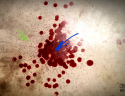 20180604_212535.png