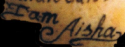 aisha tattoo.png