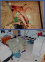 knoxmurderscene.jpg