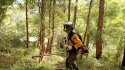 june2018 search brush behind home.jpg