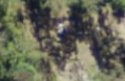 6maps image of area what is this.JPG
