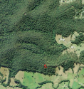 red area.png