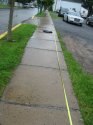 Trip 015.jpg