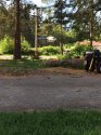 Pond area and RCMP chopper.jpg