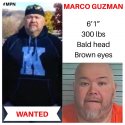 guzman4.jpg guzman4.jpg