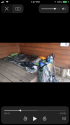 022F8D3D-47BC-4740-B175-9EF0667DFDB8.png