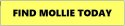 Find Mollie.JPG