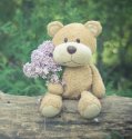 Teddy for Jordan.jpg