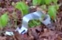 ducttape.jpg