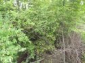 100_0418.jpg