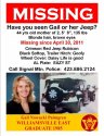 Gail Palmgren_Missing.jpg