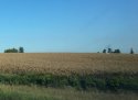 0A487579-0056-47AB-BAB4-45B2FEAB2D9F.jpeg