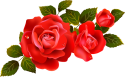 5a1c0074afdb21.6116497615117845647203.png