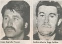 sicopatas_de_vina_del_mar.jpg
