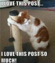 FB_IMG_1440803945039.jpg