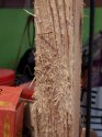 20181109_103008.jpg