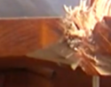 closs chair2.png