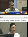 lee testifies.png