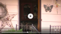 Screenshot_2018-11-26-17-10-10.png