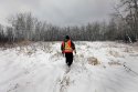 same half-section of Crown Land where TK found winnipegfreepess.jpg same half-section of Crown Land where TK found winnipegfreepess.jpg