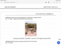 F328F006-BFE8-44A9-A470-3DA3A6F59684.png