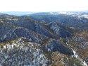 Pike National Forest 1.png