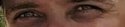 Harmless eyes.JPG