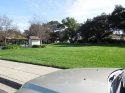 VIEW FROM MAPE WAY.jpg