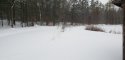 20190128_161823.jpg