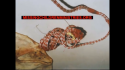 13A65983-A46C-4BB4-8E87-8FA6A8A3FC4B.png