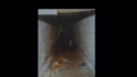 8E05B731-55F5-4A2F-8BBE-96C2E1230DA7.png