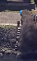Libby Squire  steps from Libby house.png