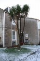 Alesha house back view ground door.jpg