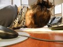 head on desk.jpg