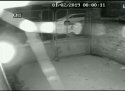 tmp-cam--1649202410.jpg