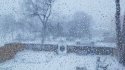 blizzard2019.jpg