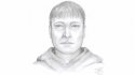 470_ott_hotel_sexual_assaults_composite_sketch_110427_430241.jpg
