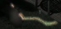 z4.png